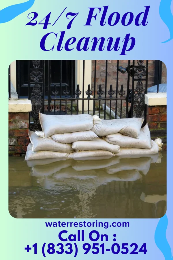 24/7 Flood Cleanup in Las Quintas Fronterizas, TX