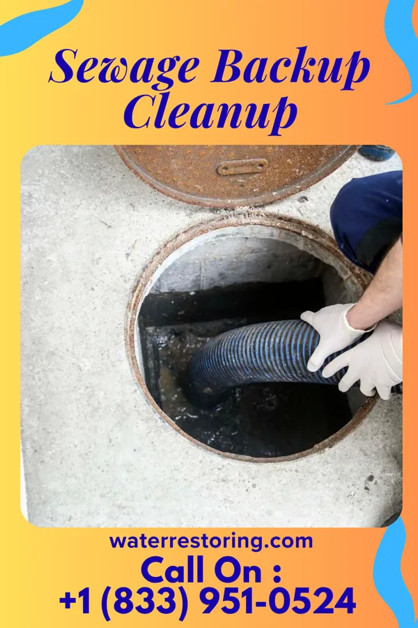 Sewage Backup Cleanup in Las Quintas Fronterizas, TX